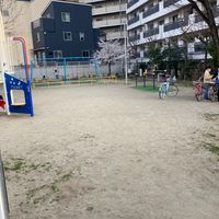 平塚公園 - 投稿画像1