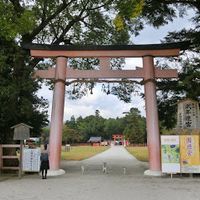 上賀茂神社 - 投稿画像2