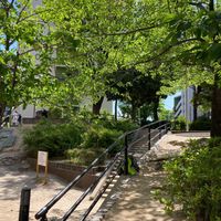 山田駅東公園 - 投稿画像2