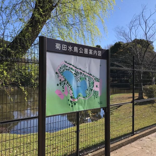 菊田水鳥公園 - トップ画像