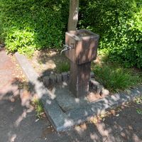 けやき公園 - 投稿画像3