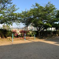 八反田公園 - 投稿画像3