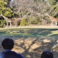 のんほいパーク（豊橋総合動植物公園）動物園 - 投稿画像3