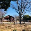 神大寺中央公園こどもログハウス『トムソーヤ』 - トップ画像