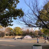 中の島公園 - 投稿画像3