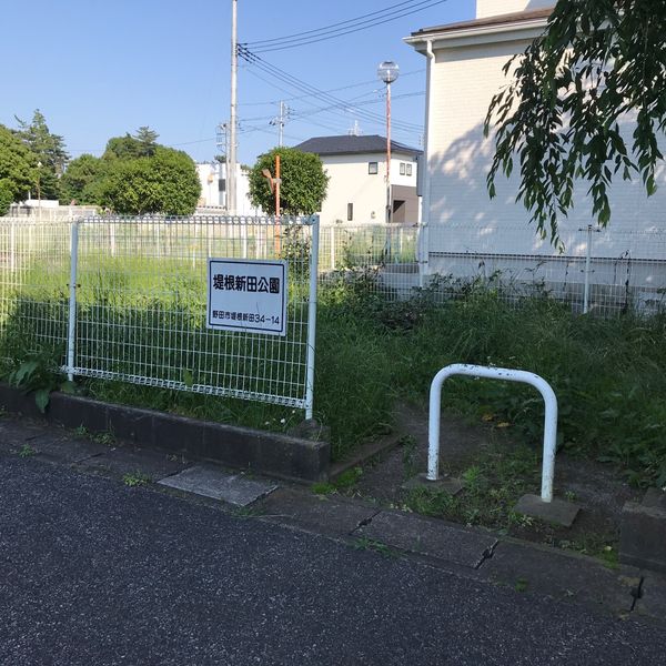 堤根新田公園 - トップ画像