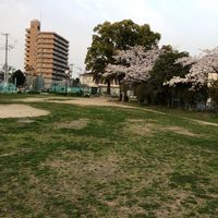 安威川公園 - 投稿画像2