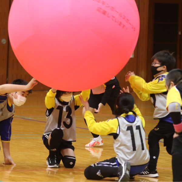 宮城県キンボールスポーツ連盟(利府町総合体育館) - おすすめ画像