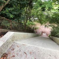 河陽北公園 - 投稿画像2