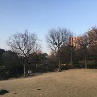 隅田公園 - 投稿画像3