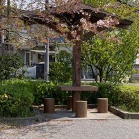 マロッコ公園 - 投稿画像2