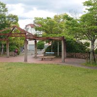 左京四丁目街区公園 - 投稿画像3