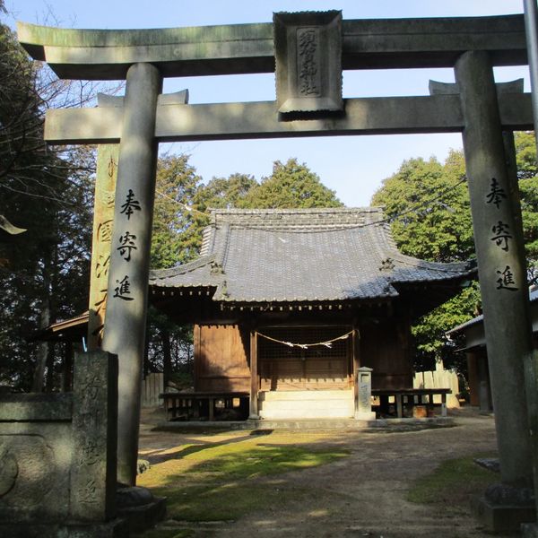 須賀神社 - おすすめ画像