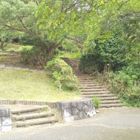 東山緑地 - 投稿画像3