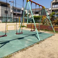 新いずみ公園 - 投稿画像2