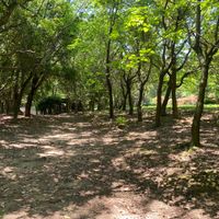 流通西公園 - 投稿画像2