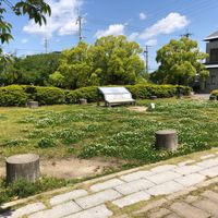 東院公園 - 投稿画像3