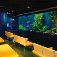 碧南海浜水族館・碧南市青少年海の科学館 - 投稿画像0