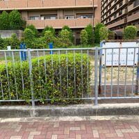 山田西にこにこ公園 - 投稿画像0