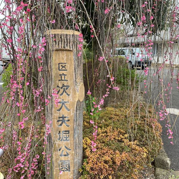 次大夫堀公園 - トップ画像