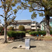 いずみ南公園 - 投稿画像0