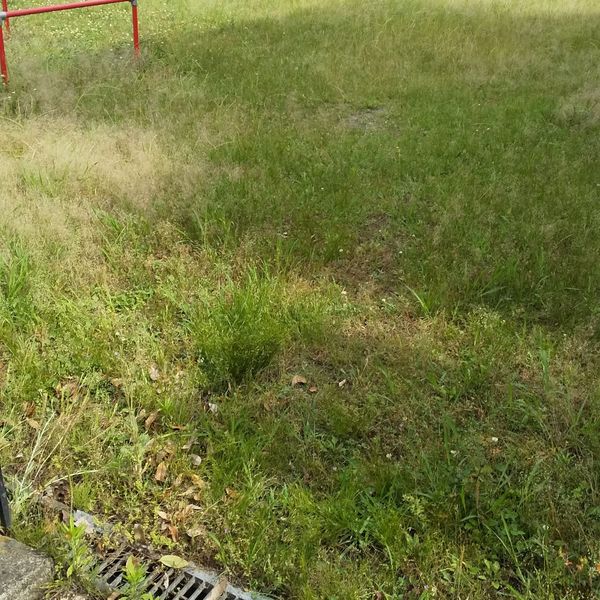 西町1号児童公園 - おすすめ画像
