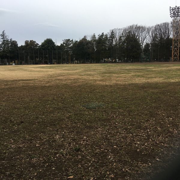 城北中央公園 野球場 - トップ画像