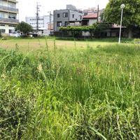 北石原 - 投稿画像2