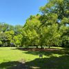 大井ふ頭中央海浜公園なぎさの森 - トップ画像