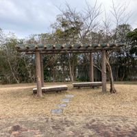 丸山第3号街区公園 - 投稿画像1