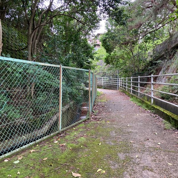 帝塚山中町緑地 - おすすめ画像