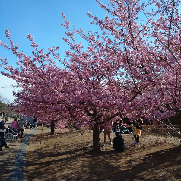 西ヶ原みんなの公園 - トップ画像