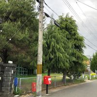 市ノ久保第4幼児公園 - 投稿画像0