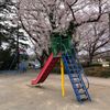 善部町公園 - トップ画像