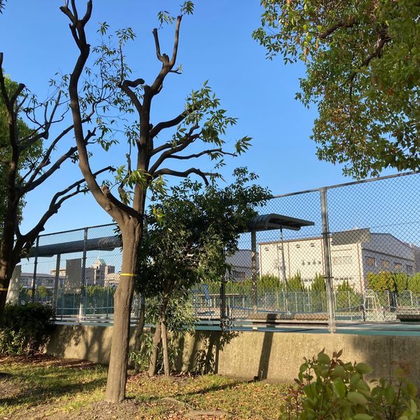 若園公園 - トップ画像