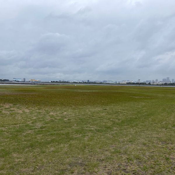 葛西臨海公園 海風の広場 - トップ画像