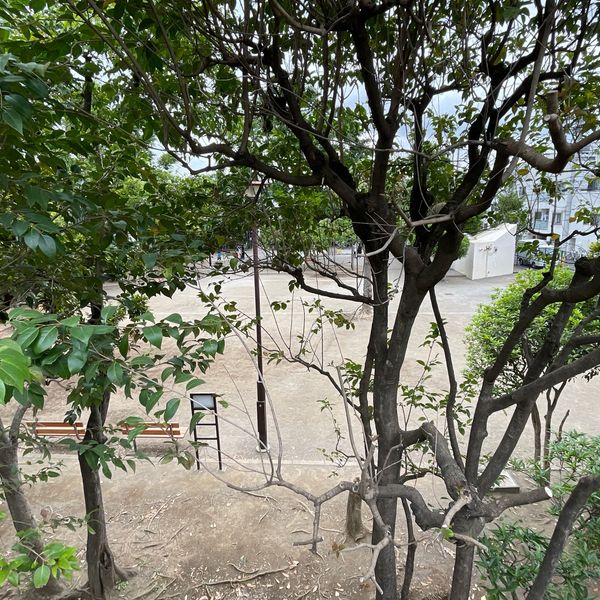 深沢公園 - トップ画像