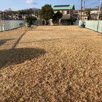 疋田町五丁目第4号街区公園 - 投稿画像2