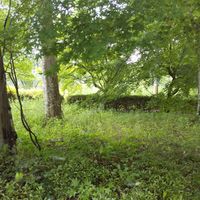 天理ダム風致公園 - 投稿画像2