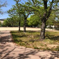 市民ふれあい広場 - 投稿画像1