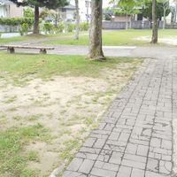 泉原第6号児童公園 - 投稿画像3