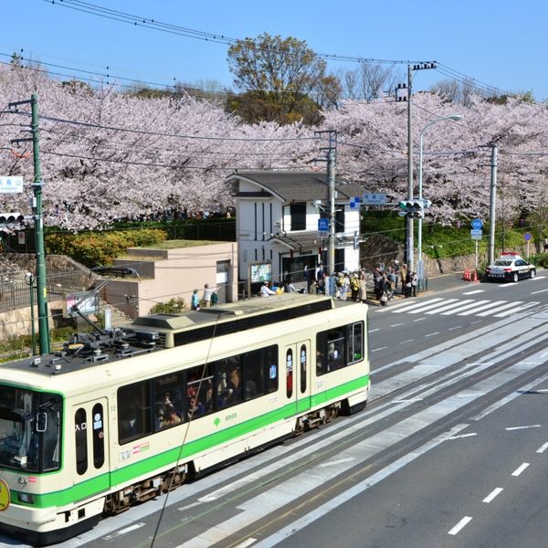 Asukayama Koen - おすすめ画像