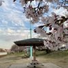 芥川桜堤公園 - トップ画像