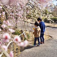 のんほいパーク（豊橋総合動植物公園）植物園 - 投稿画像0