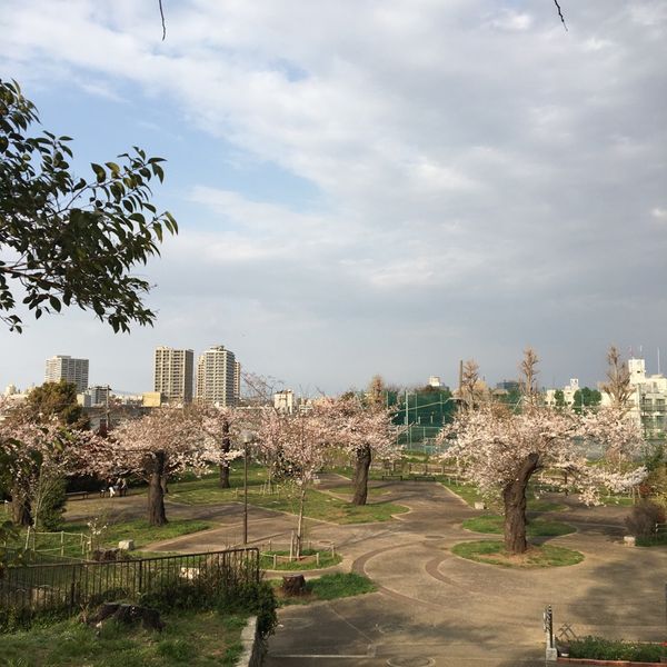 幸ヶ谷公園 - おすすめ画像