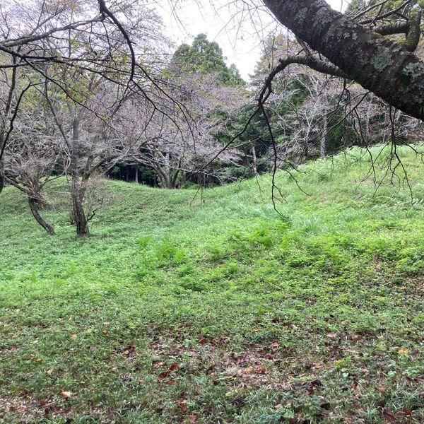 芝山古墳群 - おすすめ画像