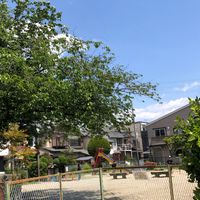 中福知公園 - 投稿画像3
