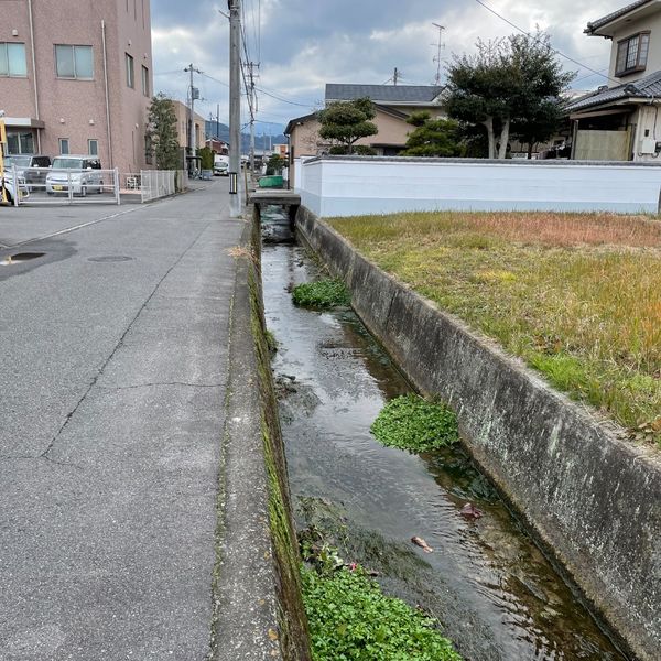 髙橋新田中・下③【水路沿い】 - おすすめ画像