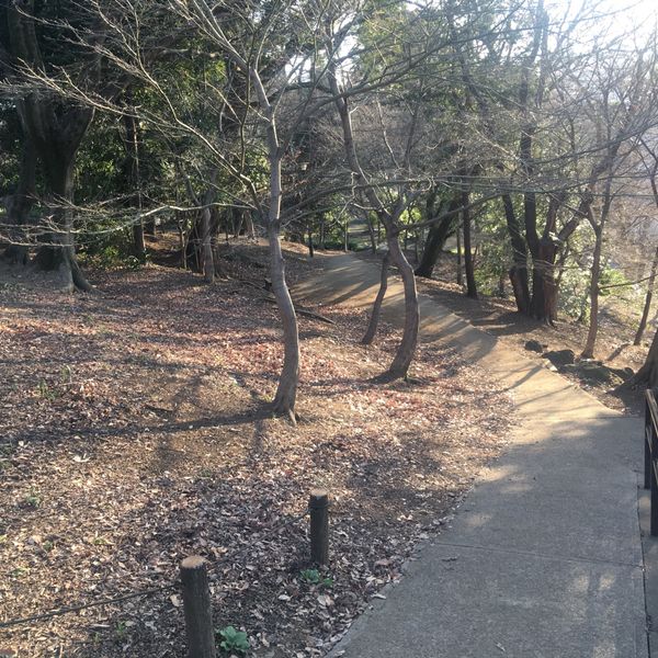 戸山公園 - おすすめ画像