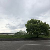 久世ニューリバー - 投稿画像3
